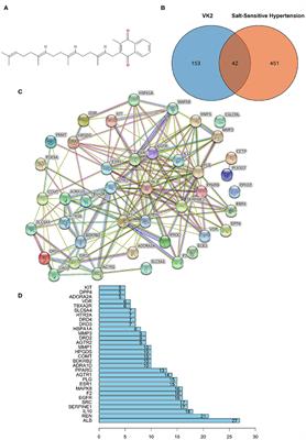 Network and 16S rRNA Sequencing-Combined Approach Provides Insightal Evidence of Vitamin K2 for Salt-Sensitive Hypertension